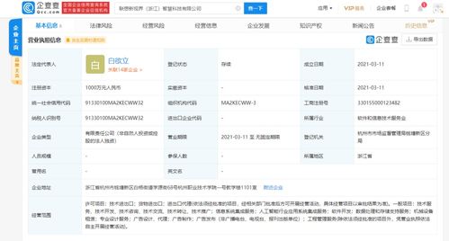 信息系統(tǒng)集成服務的全面解析